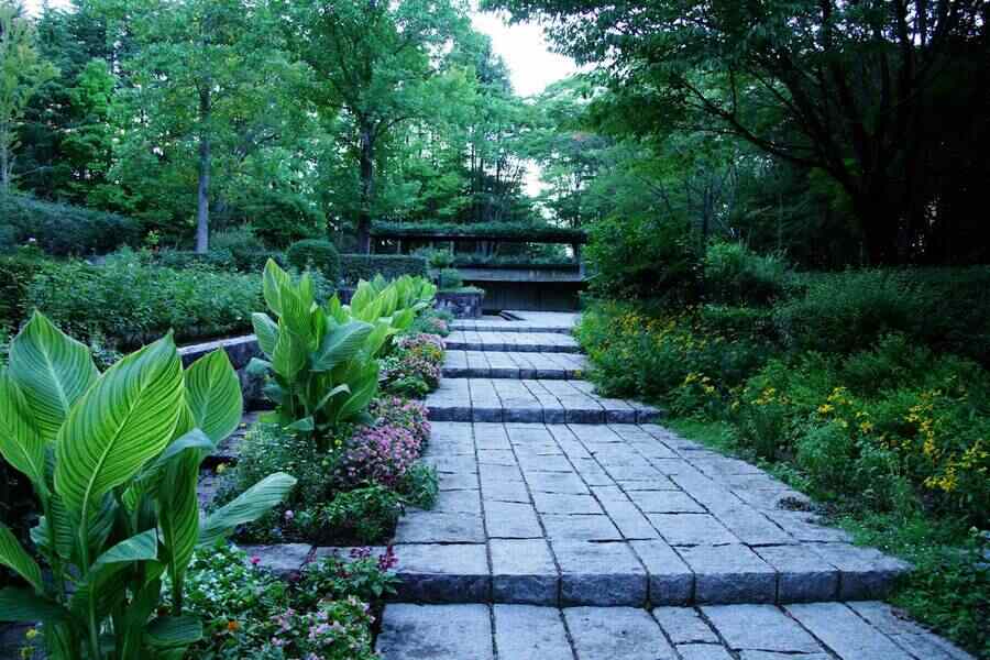 Stone walk through a shade garden, Cary